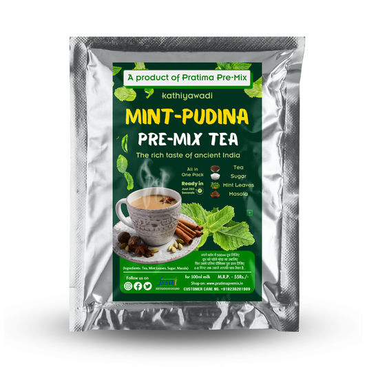 Kathiyawadi Mint-Pudina Pre-Mix Tea - 500ml Pack