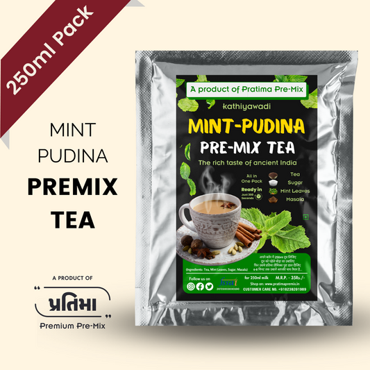 Kathiyawadi Mint-Pudina Pre-Mix Tea - 250ml Pack