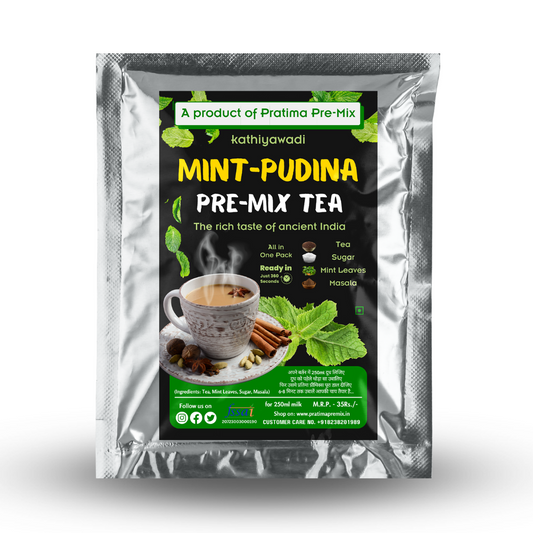 Kathiyawadi Mint-Pudina Pre-Mix Tea - 250ml Pack